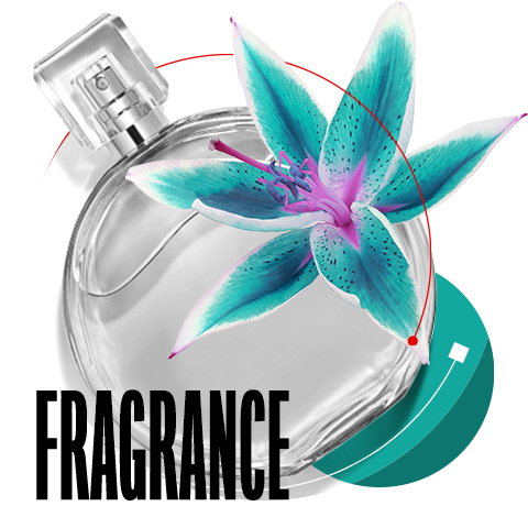 fragrance